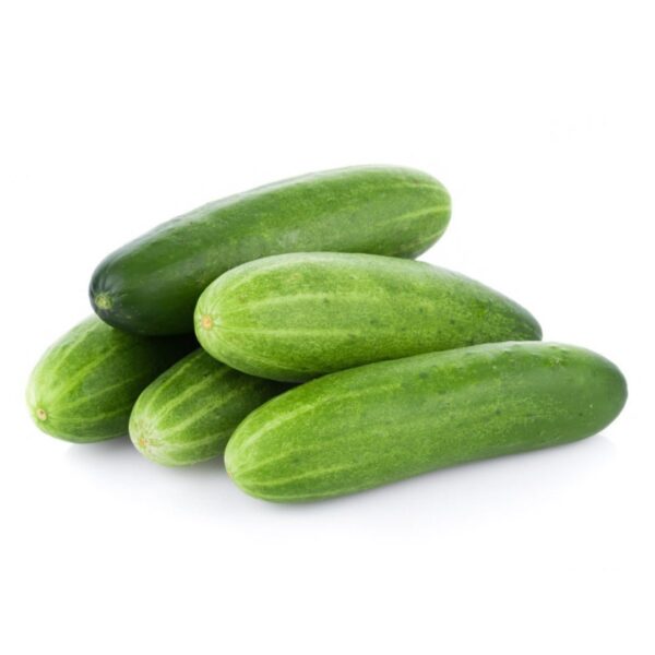 Green Cucumber