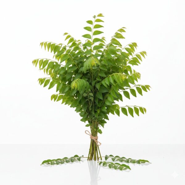 Curry Leaves (Kariveppila)