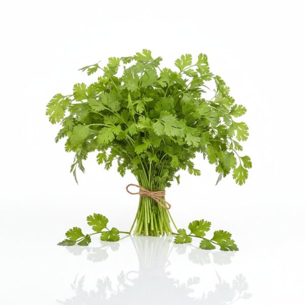 Malliyila (Coriander Leaves)