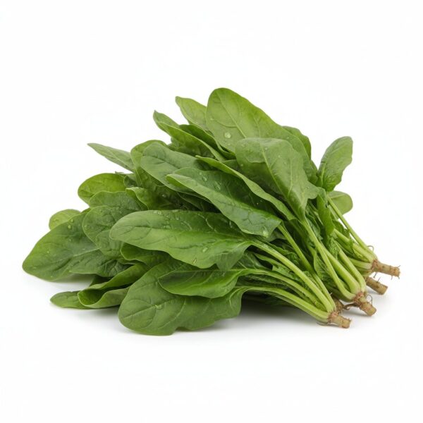 Fresh Palak (Spinach)