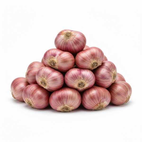 Small Onions (Shallots)